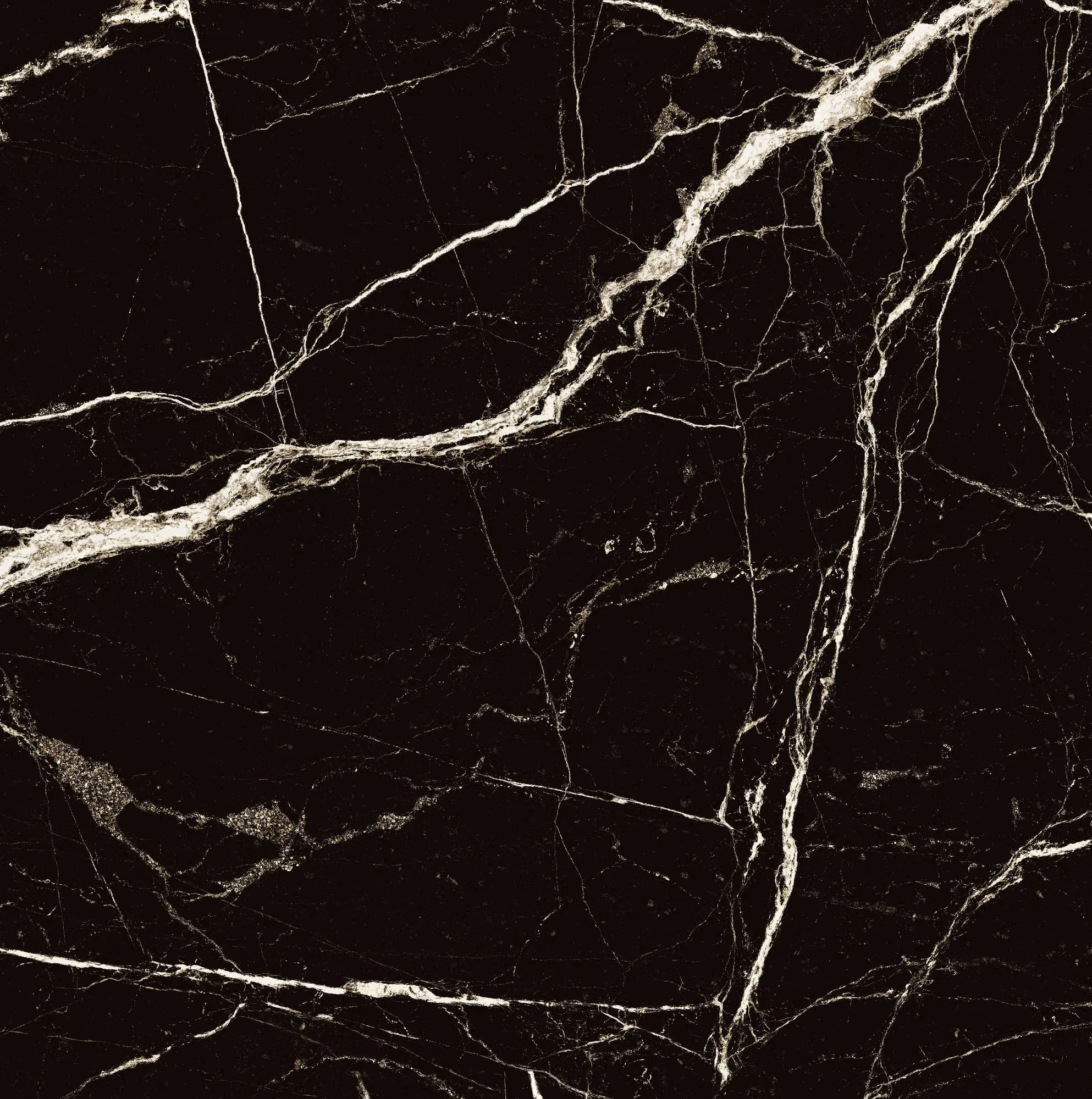 Керамогранит HG2008-A Black Spinder High Gloss 60x60