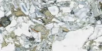 Керамогранит K951846LPR01VTEP CityMarble Амазония Мультиколор 7ЛПР R9 60X120