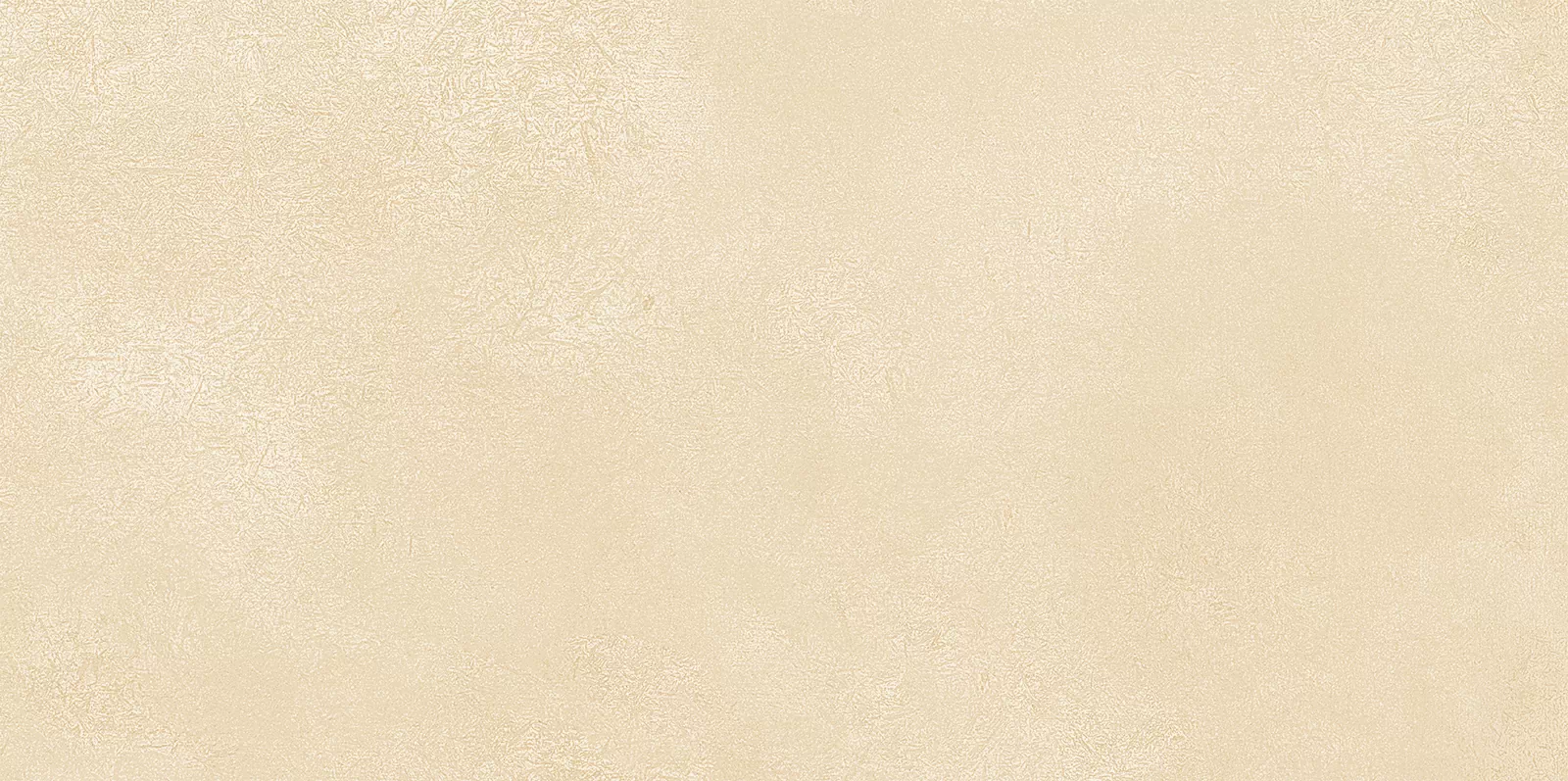 Плитка WT9PET11 Petra Beige 24.9х50