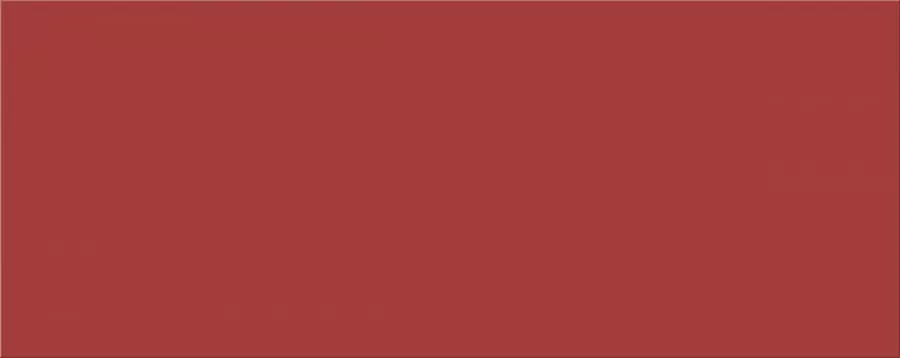 Плитка VELA CARMIN 20,1x50,5
