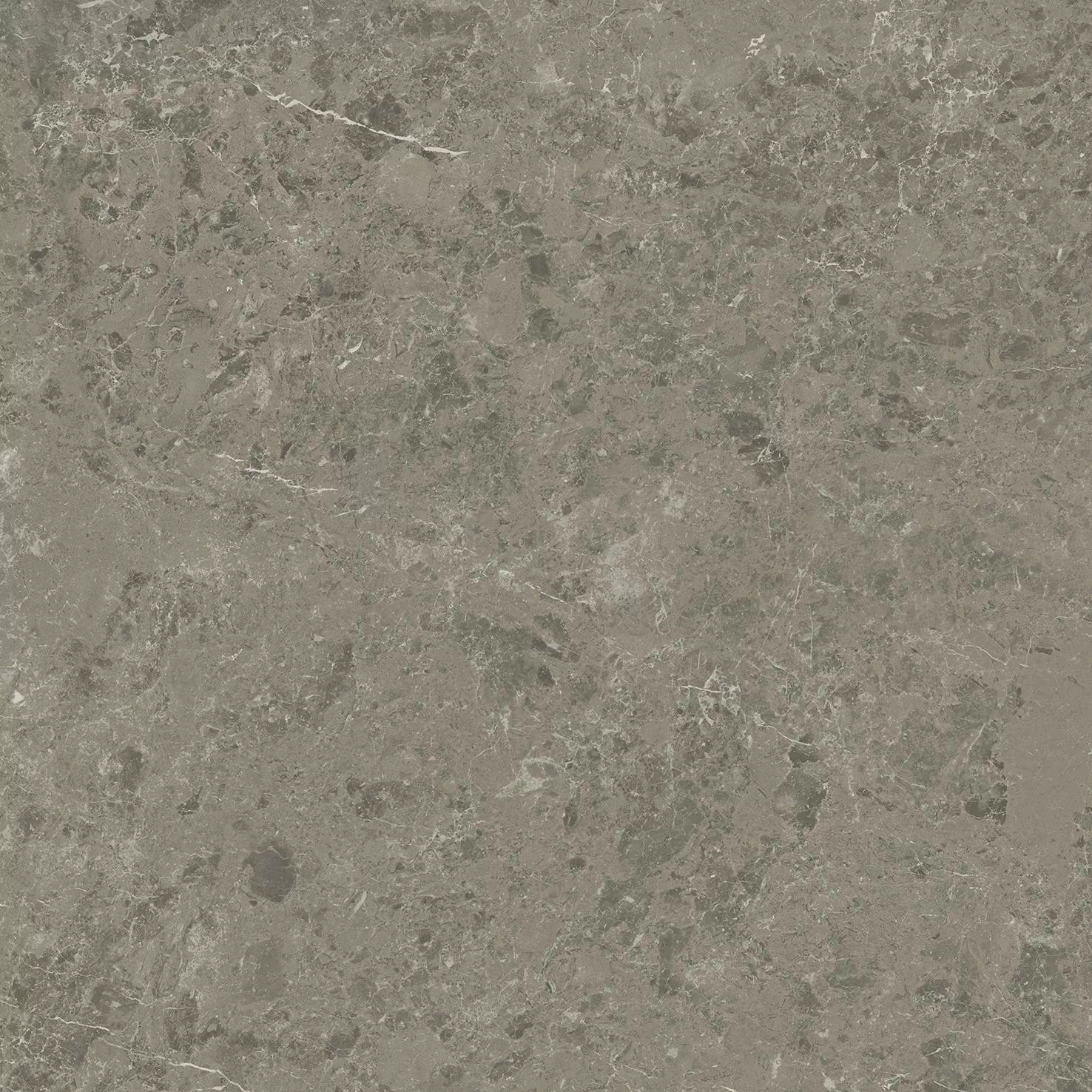 Керамогранит AJI8 Marvel Meraviglia Grigio Elegante Lapp. 60x60