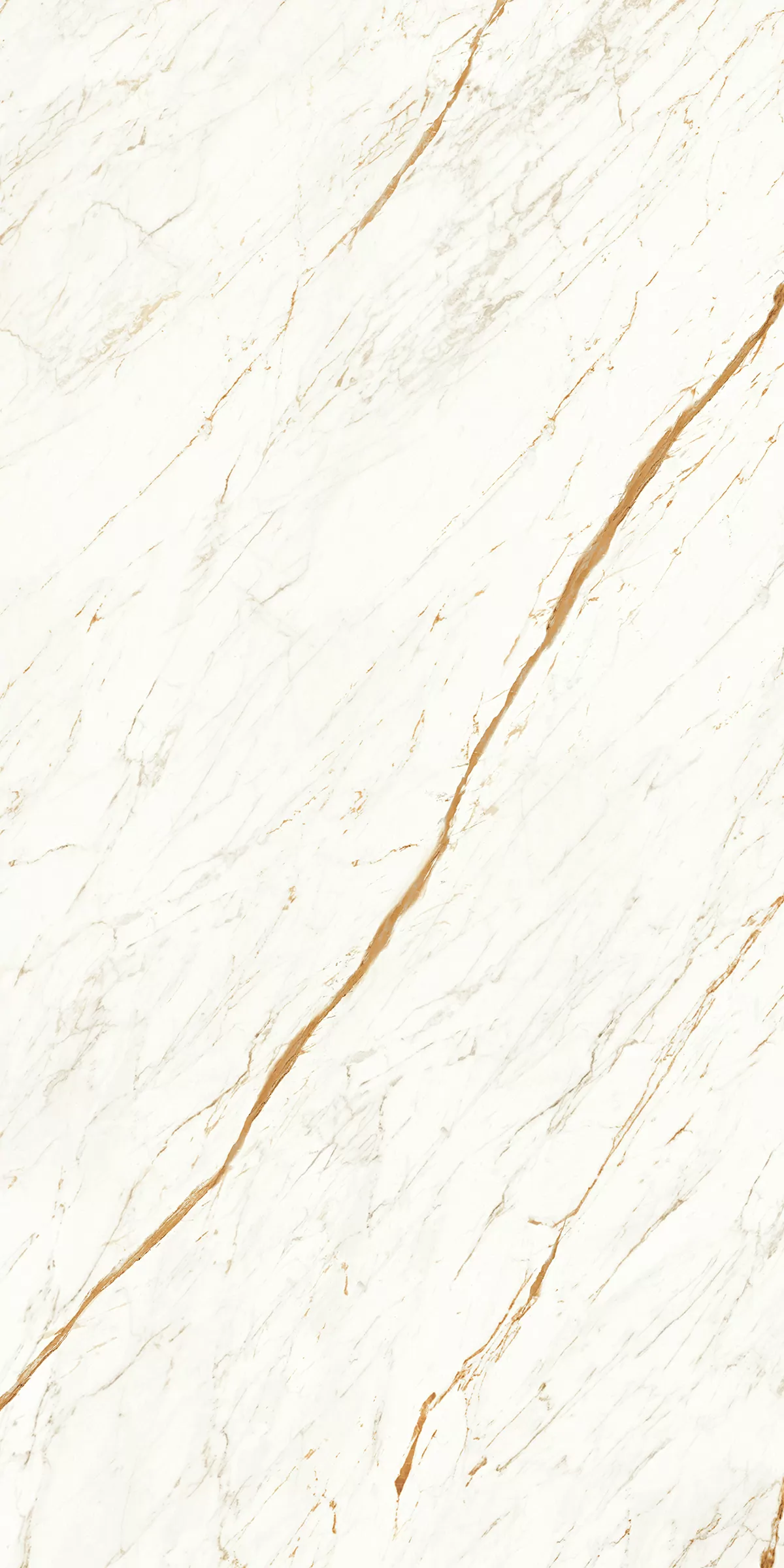 Керамогранит 903 Nero White 120x60
