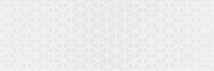 Плитка Renea Nieve 25x75