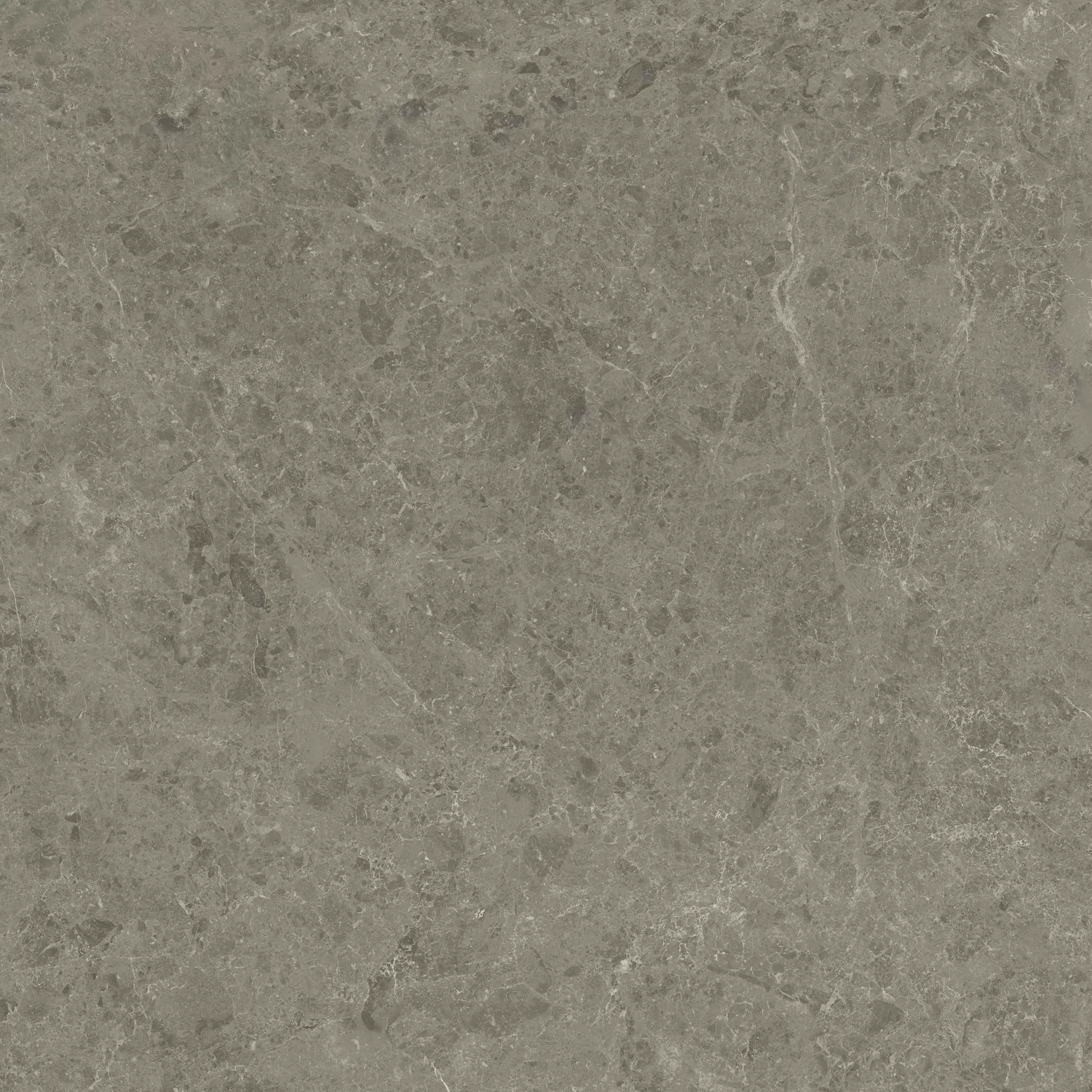 Керамогранит AJIL Marvel Meraviglia Grigio Elegante Velvet 120x120