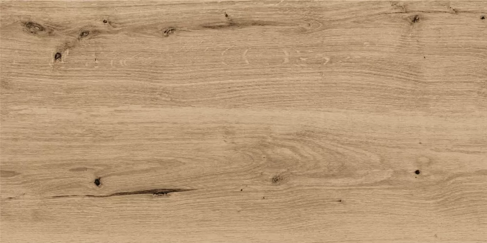 Керамогранит C-WS4O152D Woodhouse темно-бежевый 29,7х59,8
