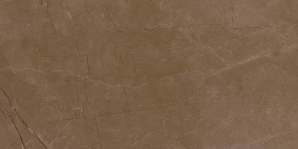 Керамогранит Delux Bronze Refl. Rett 29,5х59