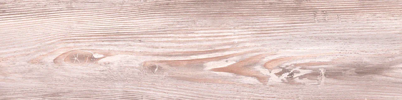 Керамогранит Oak Robusto GP natural 15.1х60х1