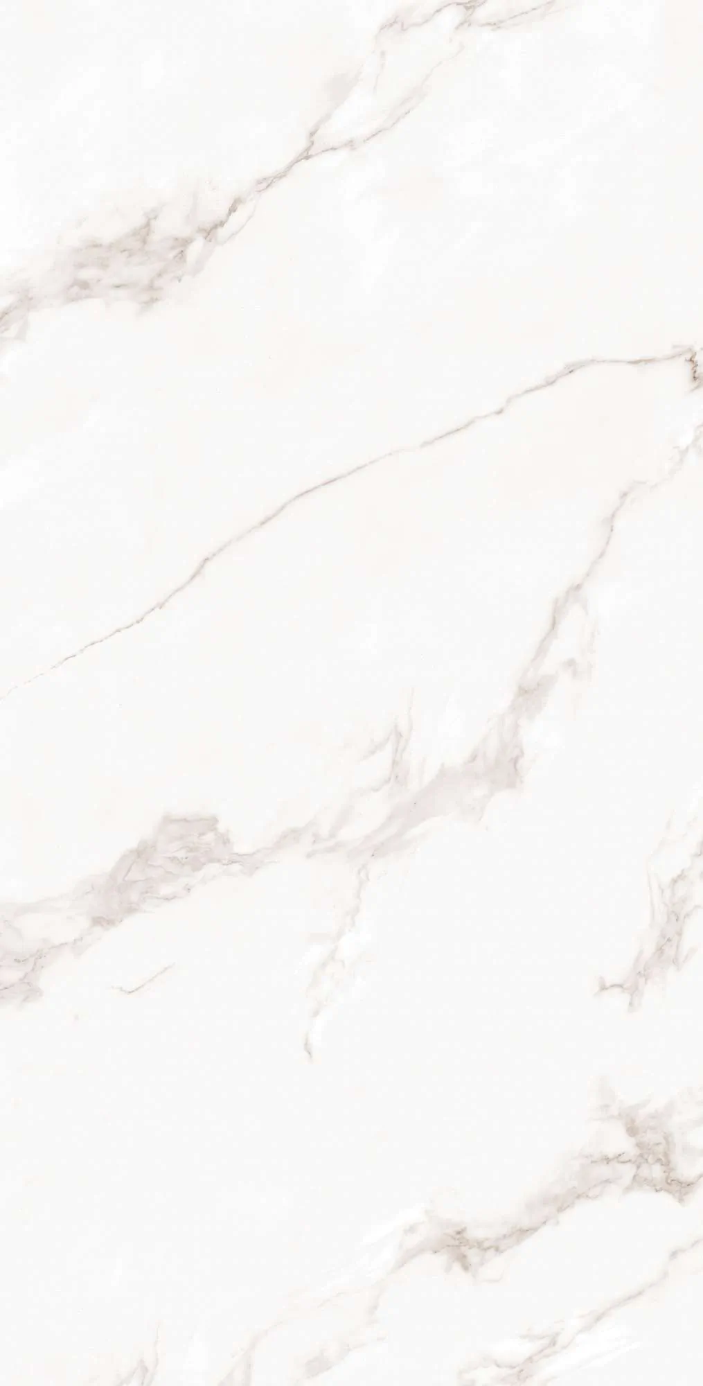 Керамогранит FP1019-A Calacatta Bianco Full Polished 60x120