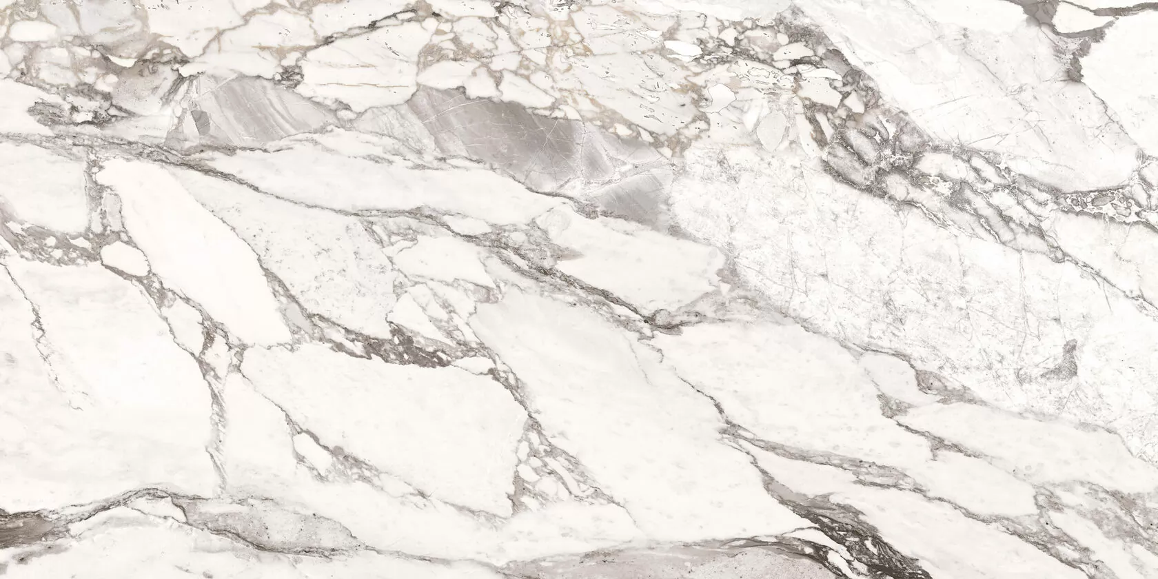 Керамогранит Calacatta Oreo Polished 60х120