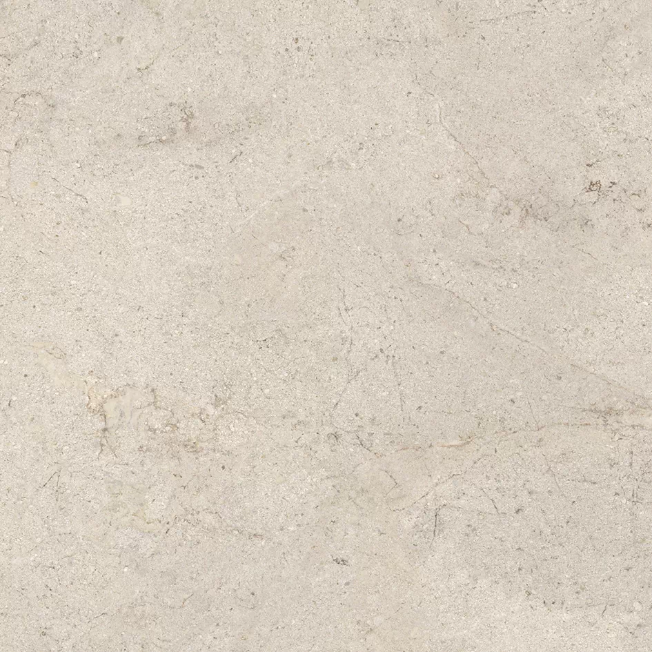 Керамогранит 100348054 Dorcia Bone L 80x80