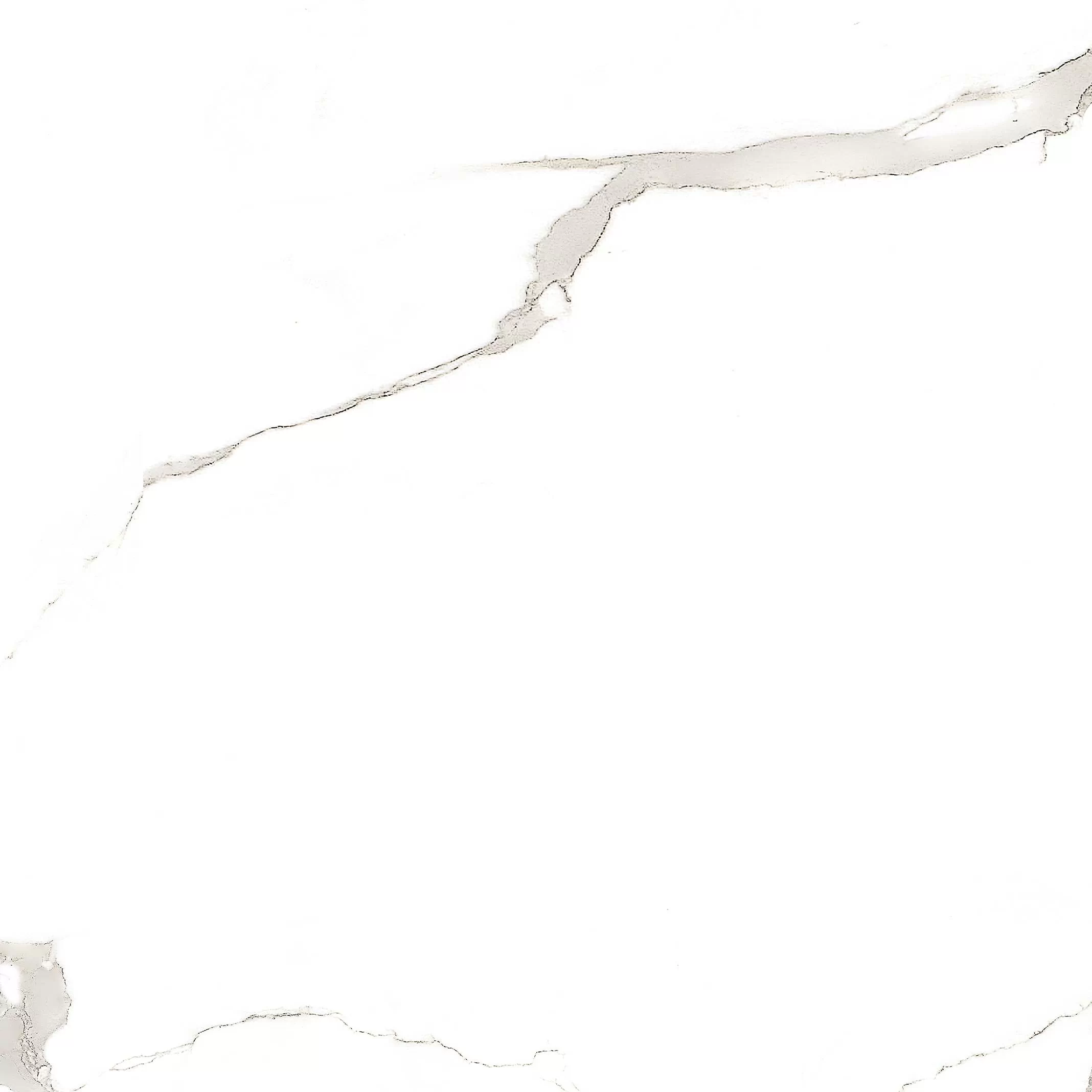 Керамогранит Carrara White 60х60