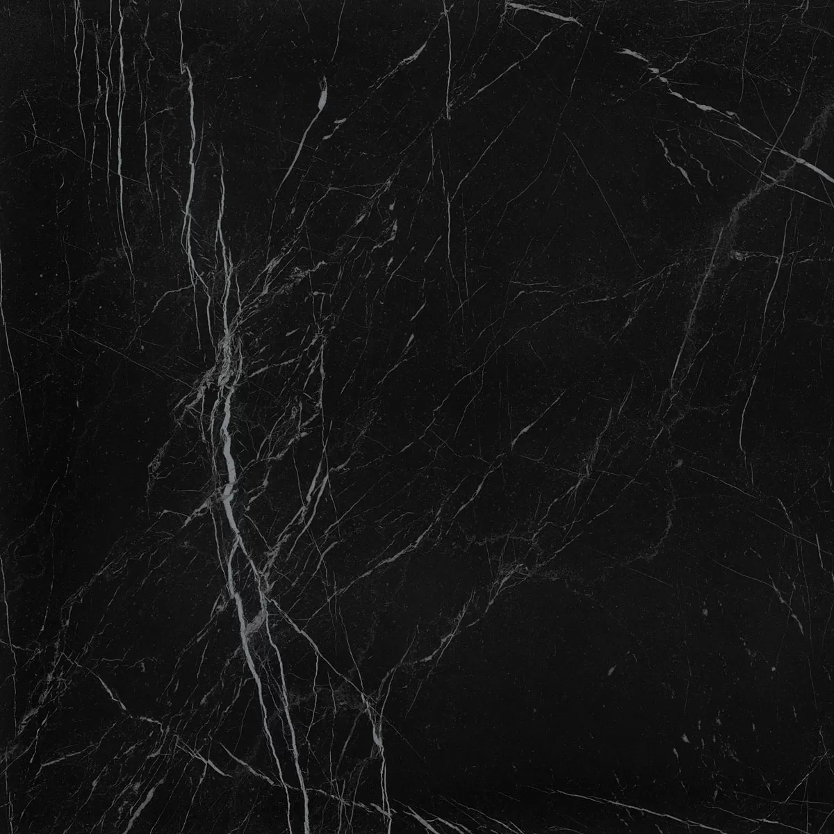 Керамогранит fNEU Nero Reale Brillante 60x60