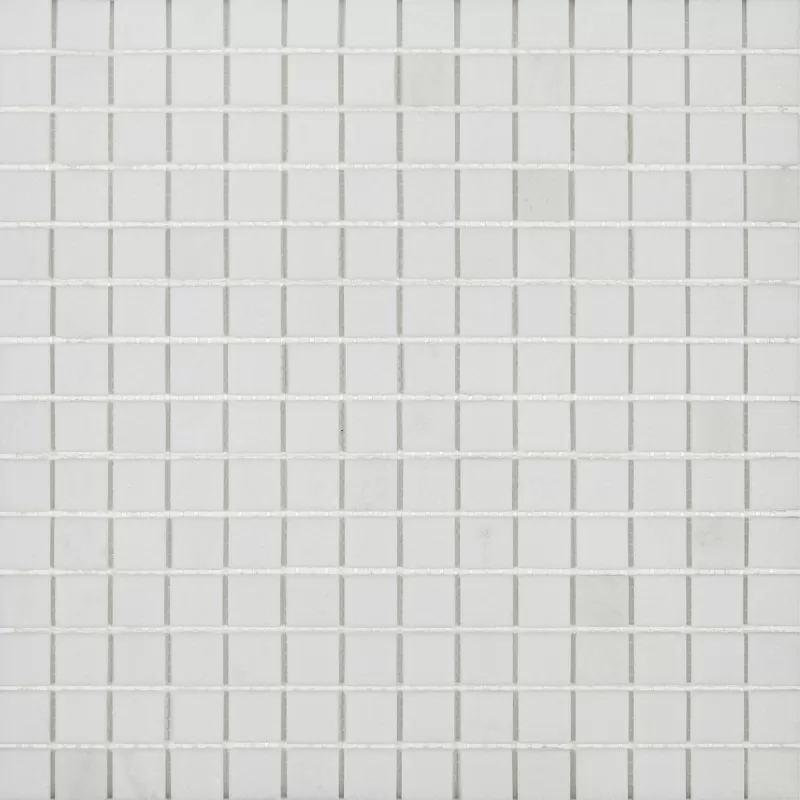 Мозаика STN5204P (20*20) 305*305*4