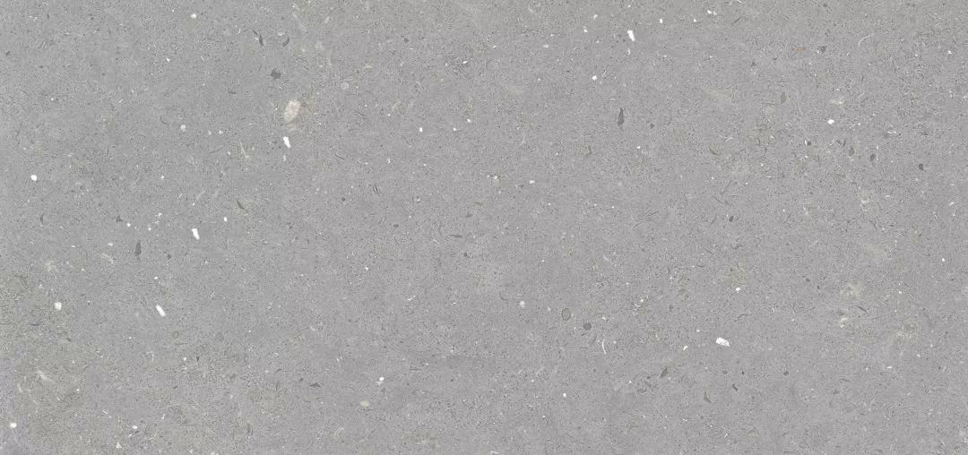 Керамогранит Stx Fossil Grey 59,8х119,8