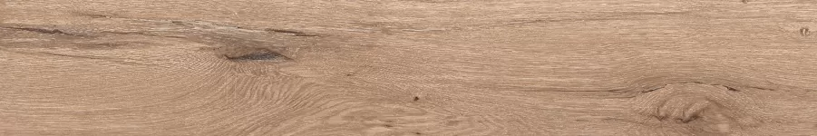 Керамогранит F4501M Forest Nature Decaff Matt 20x120