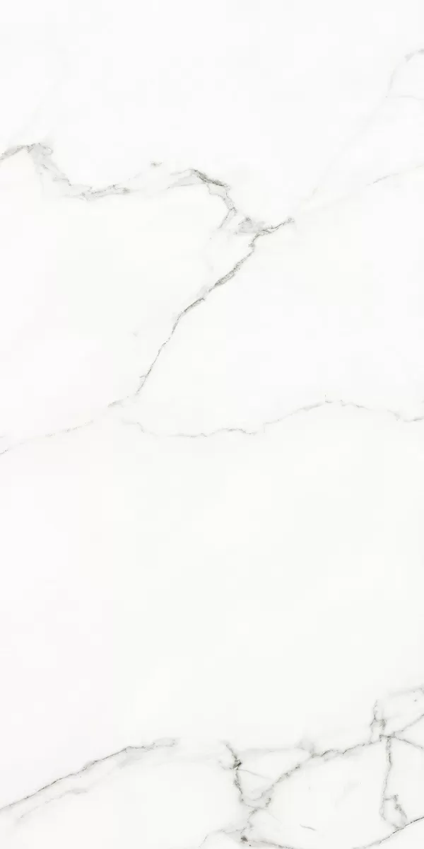 Керамогранит 120126 White Beauty Naturale Rettificato 60x120