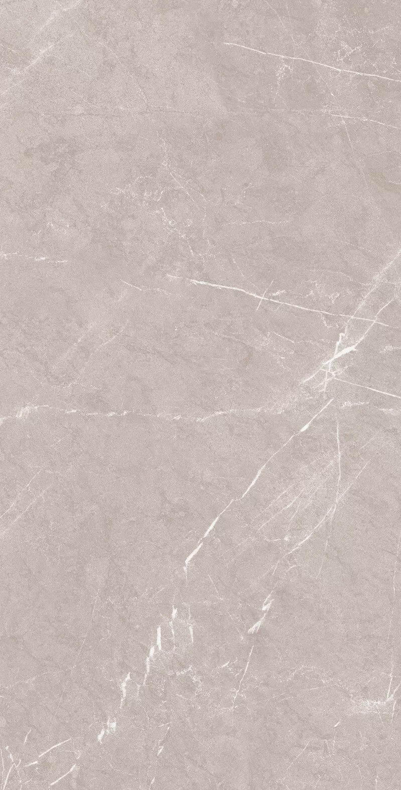Керамогранит 1069 Monte Grigio Carv 120x60
