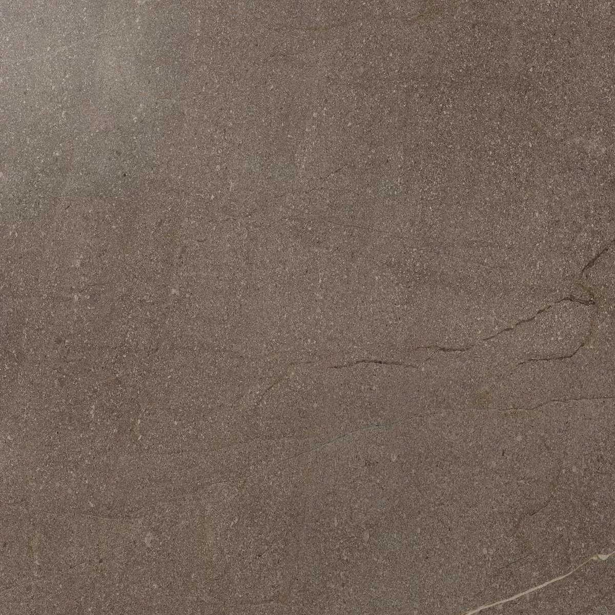 Керамогранит 610015000257 Contempora пат. Burn 60x60