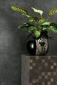 Керамогранит 261033 GREEK Antracite Naturale 40x80