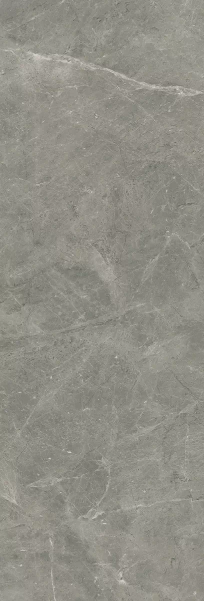 Керамогранит Antique Grey Digi Matt 800x2400x15