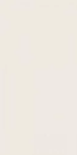 Плитка E829(D726) 4D Plain White Matt 40х80