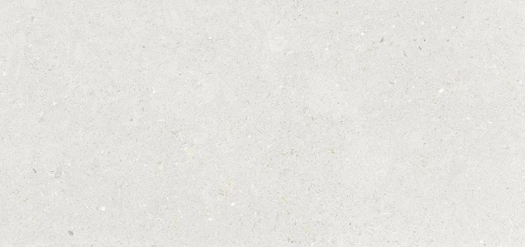Керамогранит Stx Fossil Silver 59,8х119,8