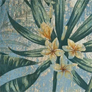 Керамогранит TR3333 Tropic 33х33