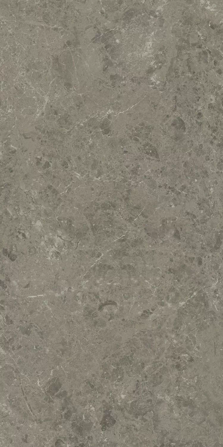 Керамогранит AJIU Marvel Meraviglia Grigio Elegante Matt 60x120