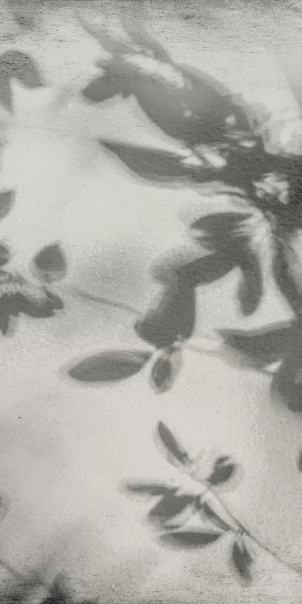 Керамогранит PF60012582 Art Walls Shadow Nat R 60x120