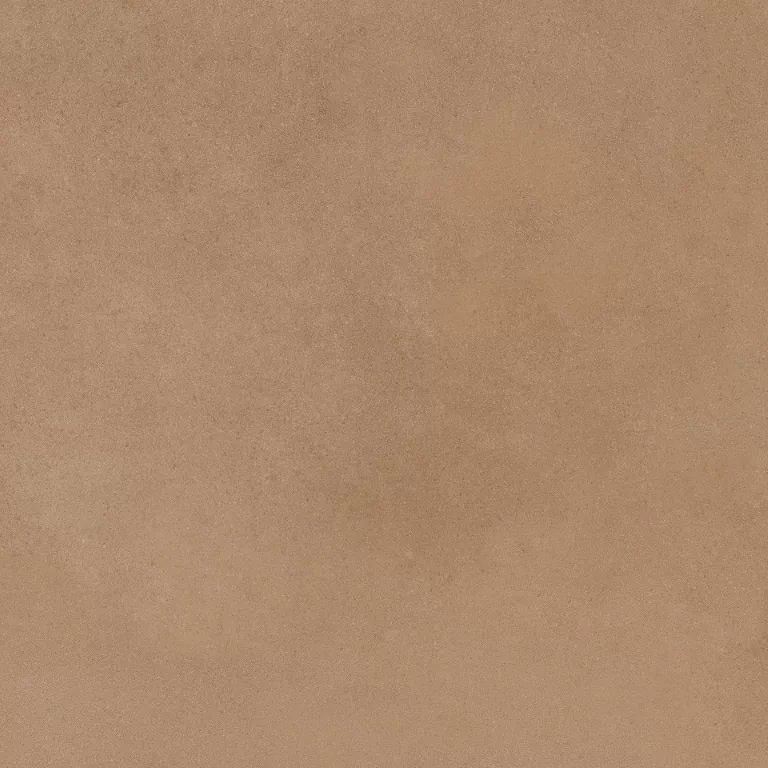 Керамогранит Mediterranea Coral PW R 60x60