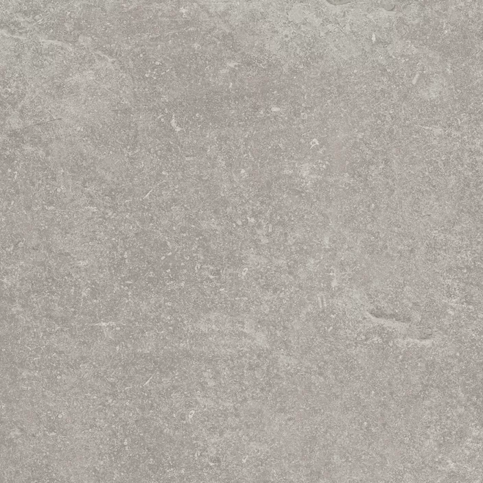 Керамогранит 100324749 Verbier Silver 59.6x59.6