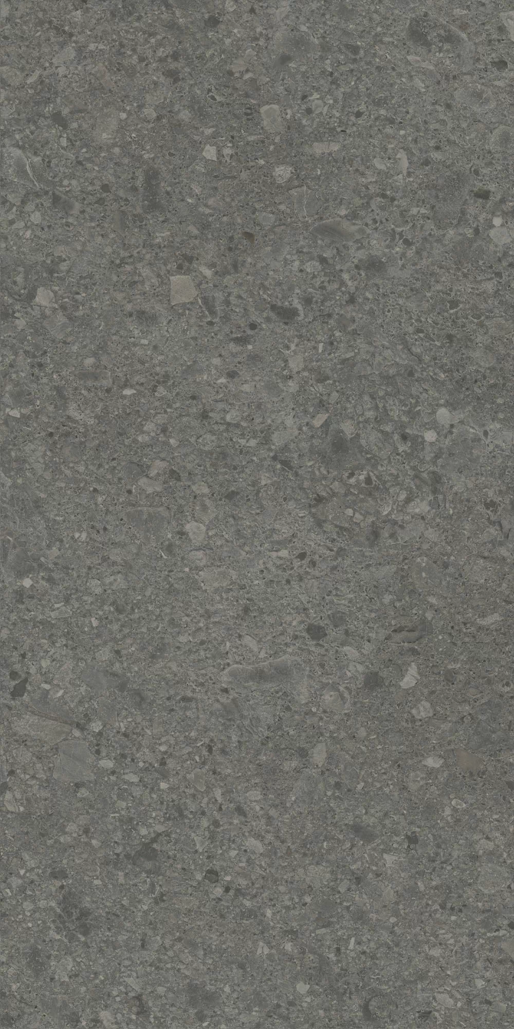 Керамогранит DD508020R Чеппо ди Гре антрацит матовый обрезной 60x119,5x0,9