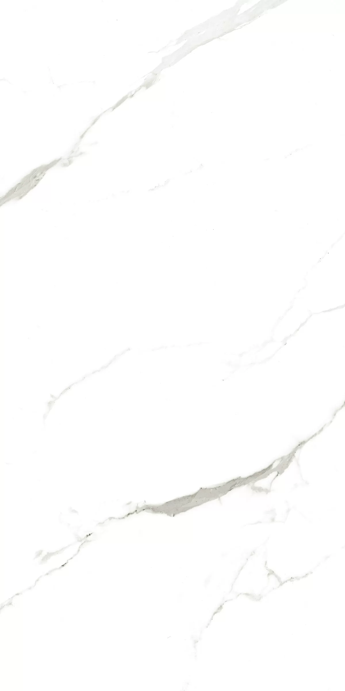 Керамогранит 902 Vena Fine Statuario 120x60
