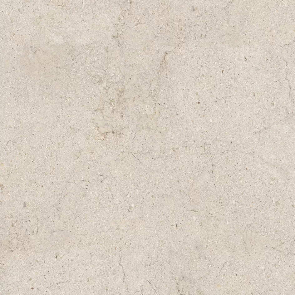 Керамогранит 100348054 Dorcia Bone L 80x80