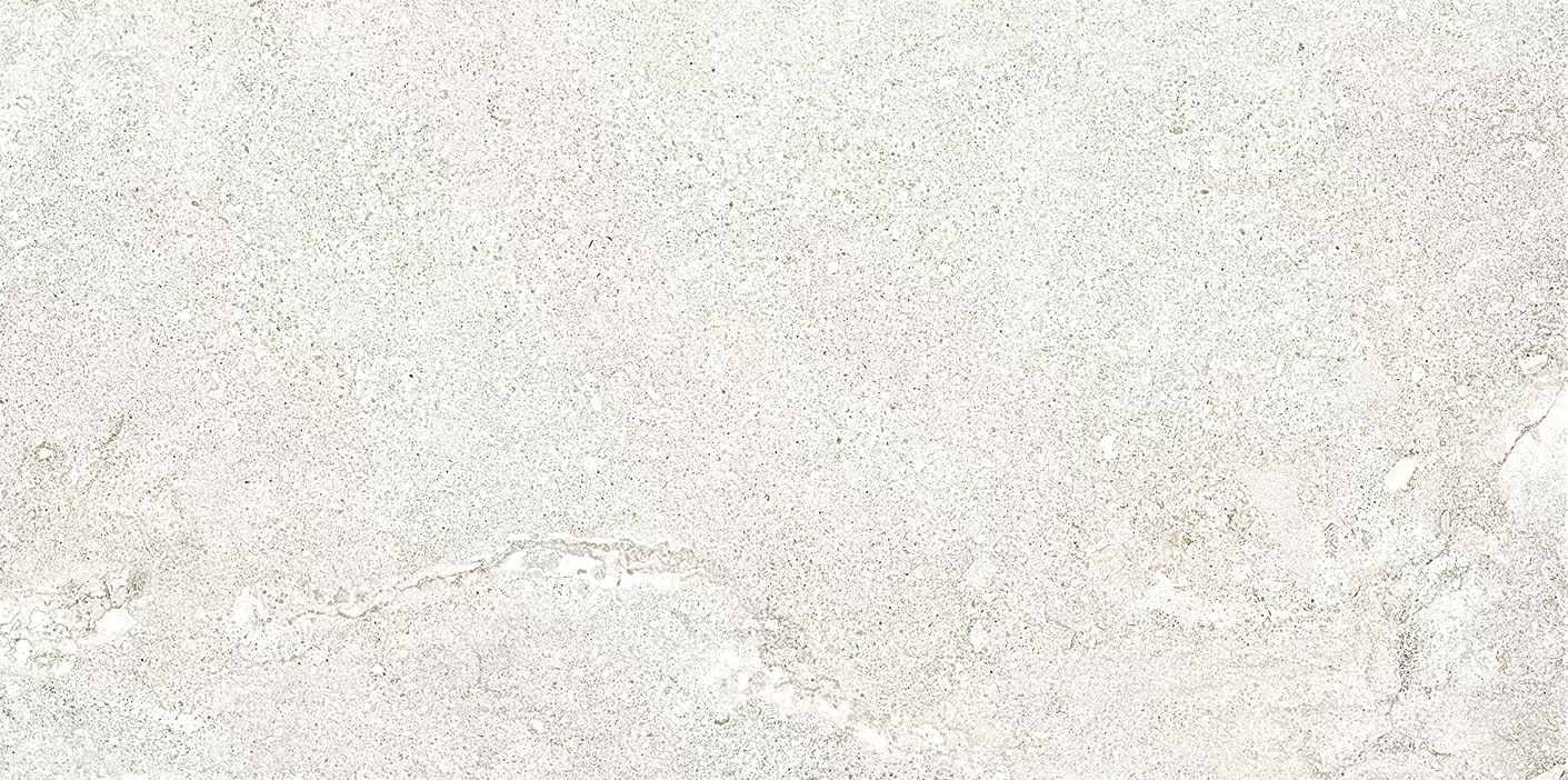 Керамогранит 44EA49R (43EA49R) Elba Blanco Rec. R10 60x120