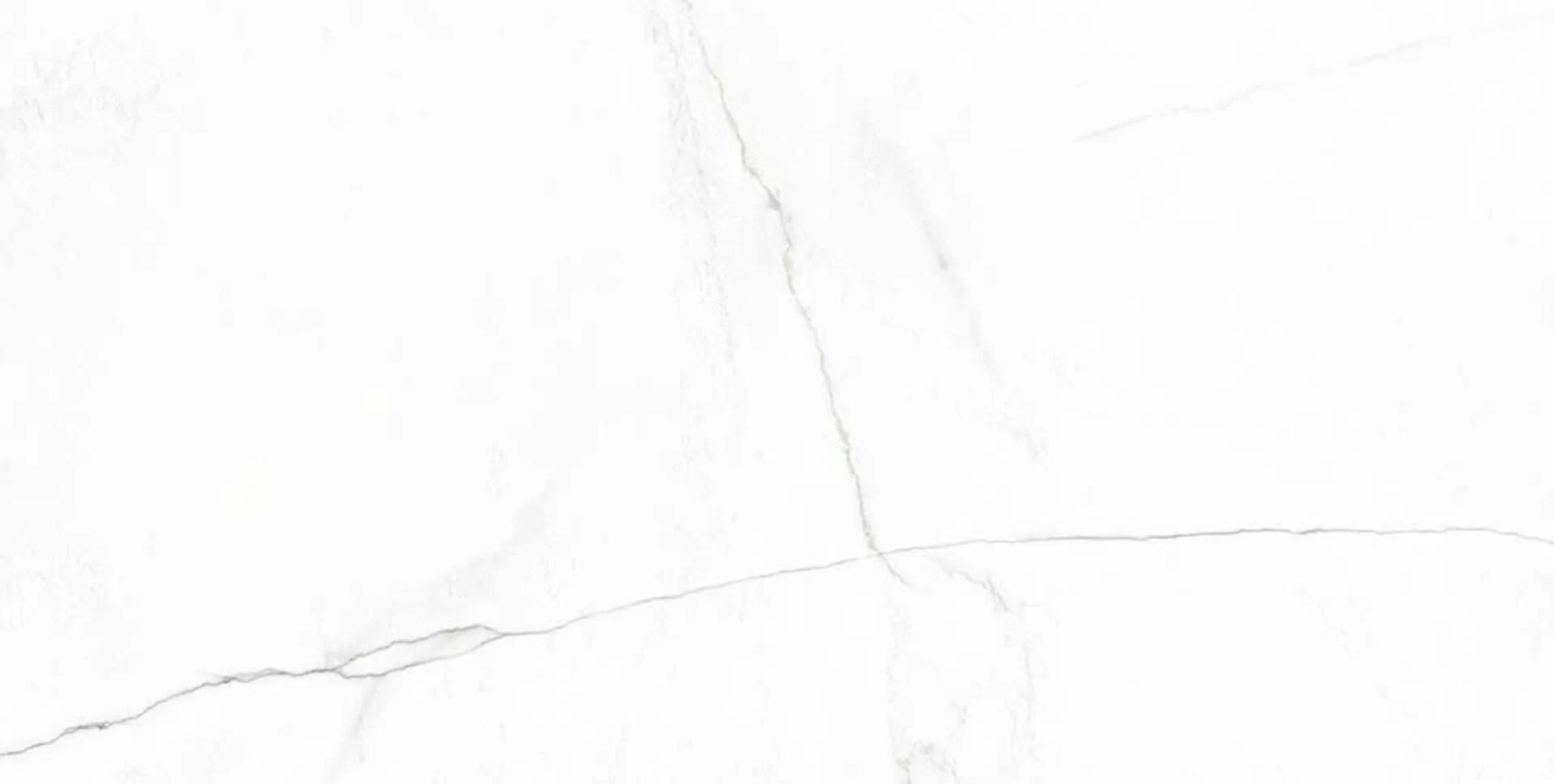 Керамогранит Lab Bianco Mare Matt Satin 60x120