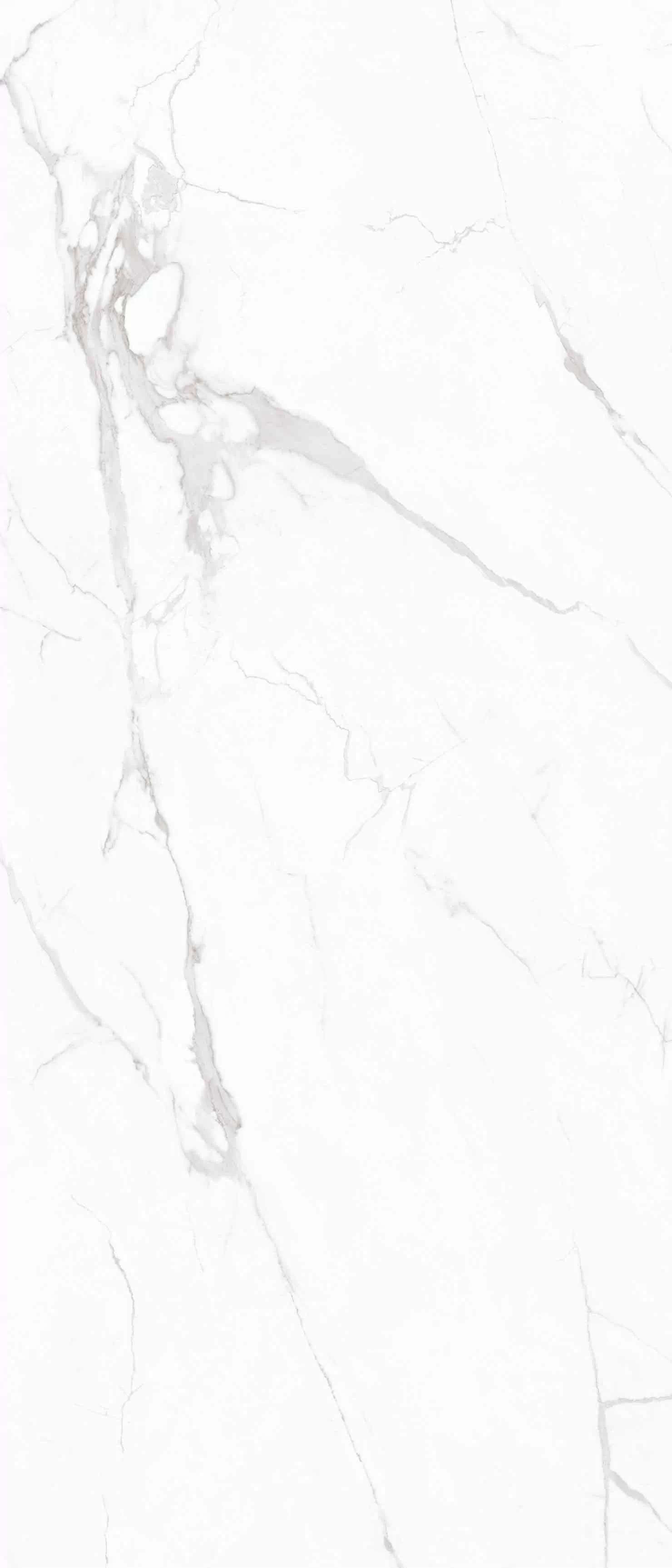 Керамогранит NTT3605P Marble White 120x280