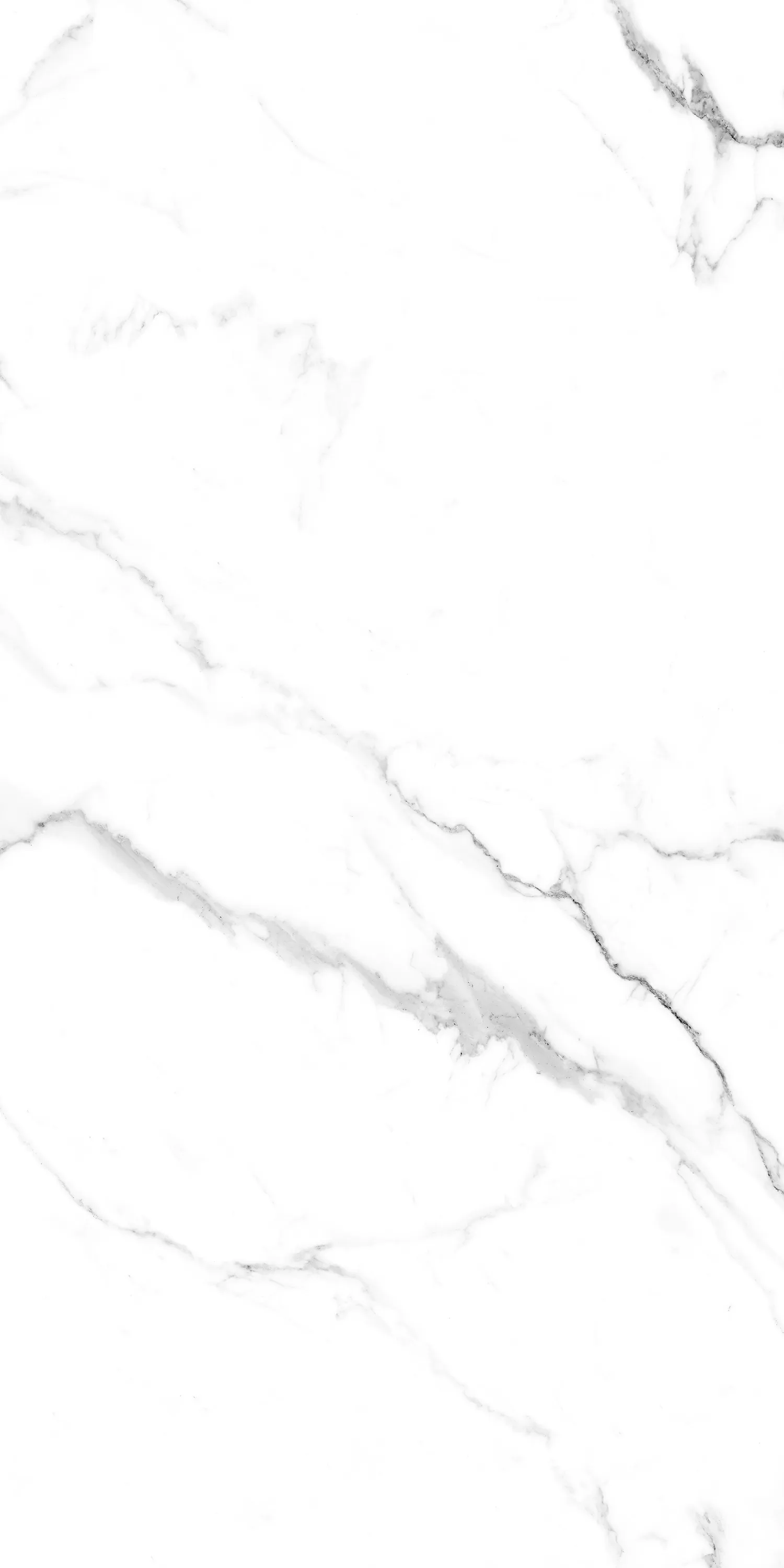 Керамогранит Caribbean White Glossy 60х120