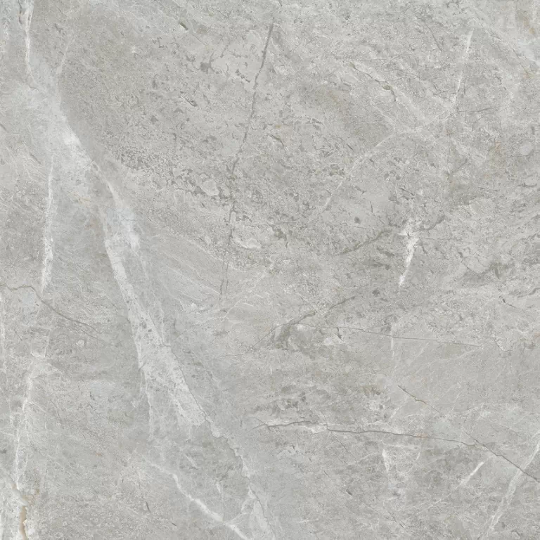 Керамогранит ETSTN1236GL6060 Baltic Grey Glossy 60x60