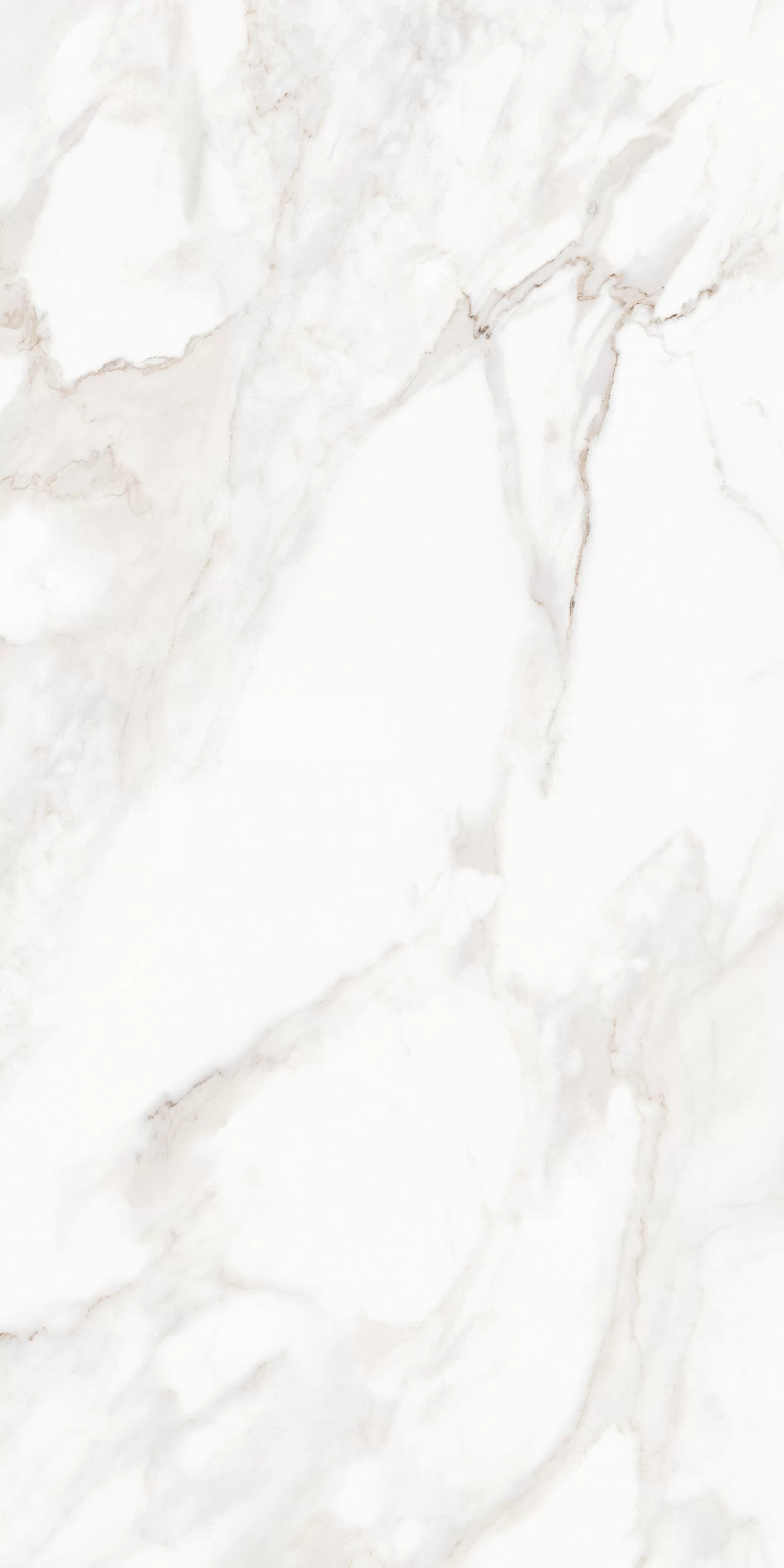 Керамогранит MPL-058633 Calacatta Polished 80x160