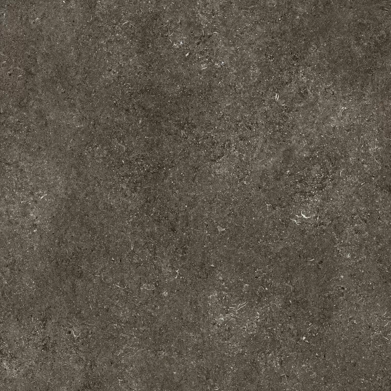 Керамогранит 768560 Sensi Brown Fossil Nat Ret 6mm 120x120