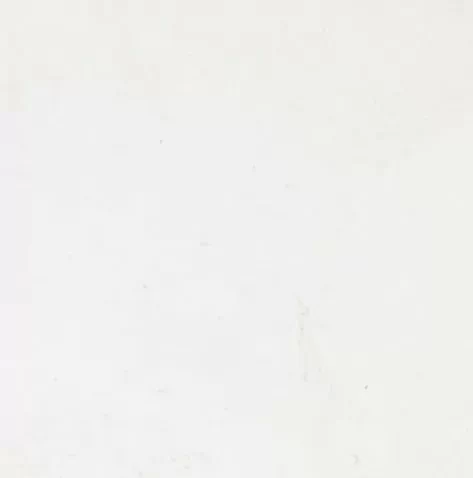 Керамогранит 100325236 Rivoli L 59.6x59.6