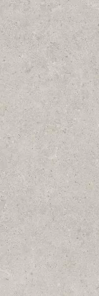 Плитка 14053R Риккарди серый светлый матовый обрезной 40x120