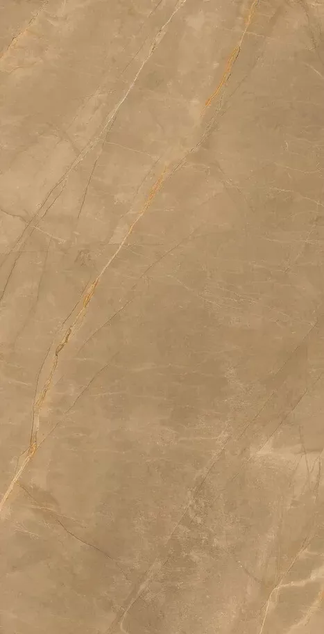 Керамогранит Eco Marble Royalish Brown 120x60