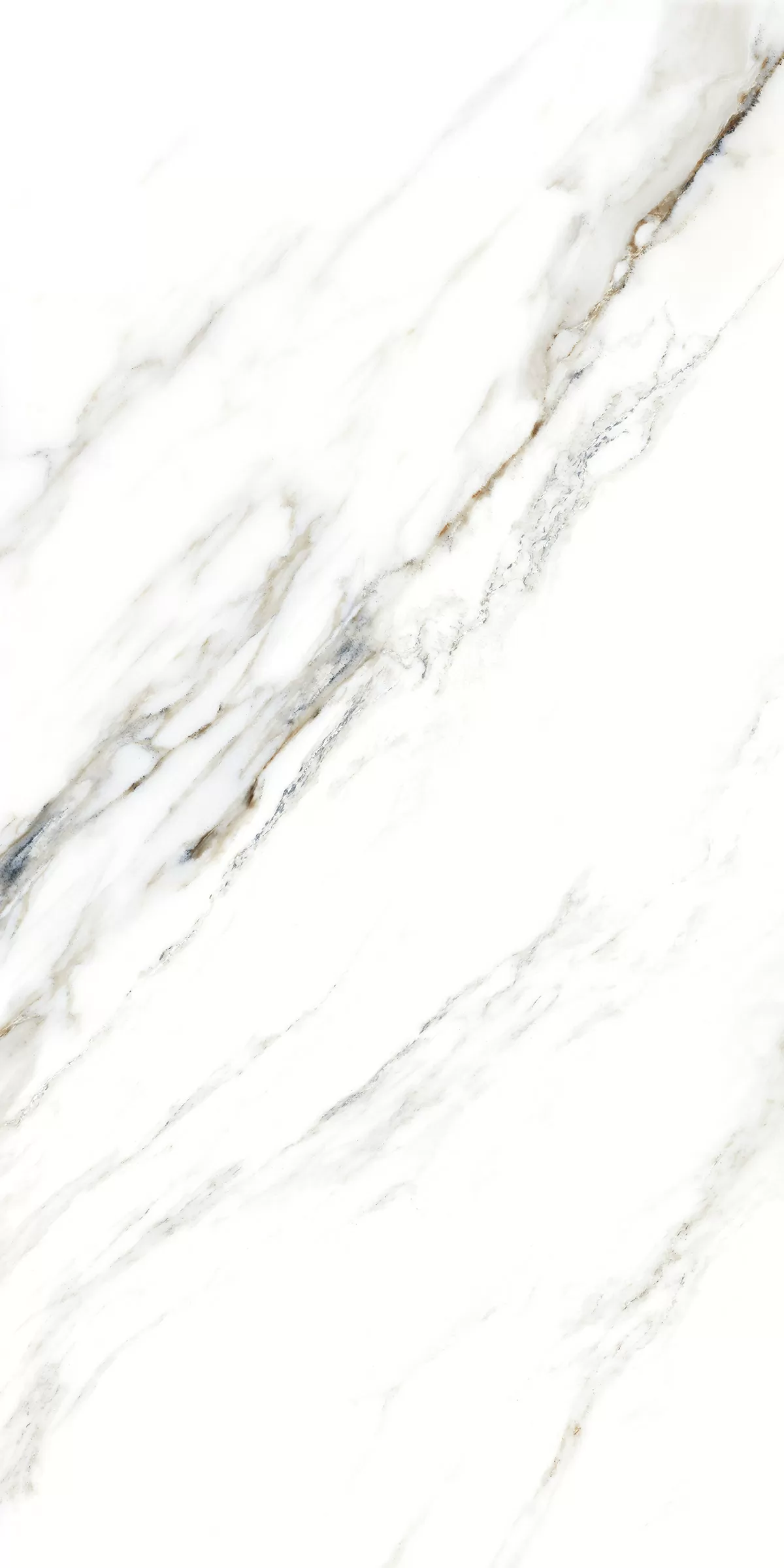 Керамогранит 893 Fantastic White 120x60