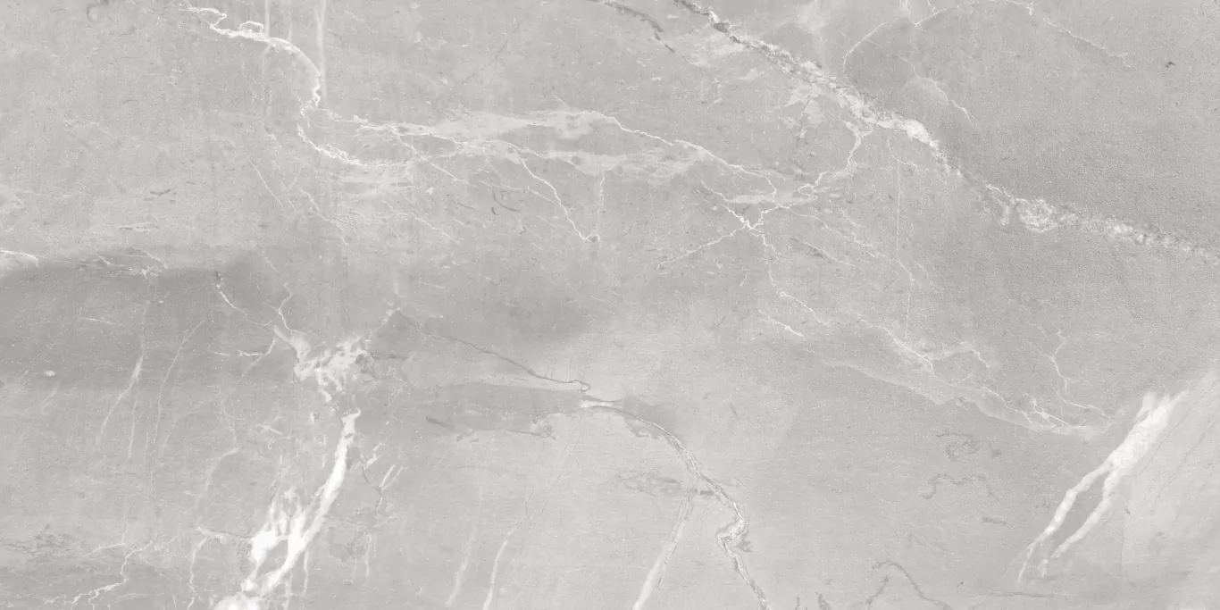 Керамогранит NS612NTT9026L Slate Grey 60x120