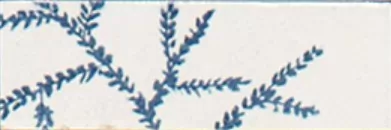 Керамогранит M96T Rice Bianco dec Leaf Lux 5x15