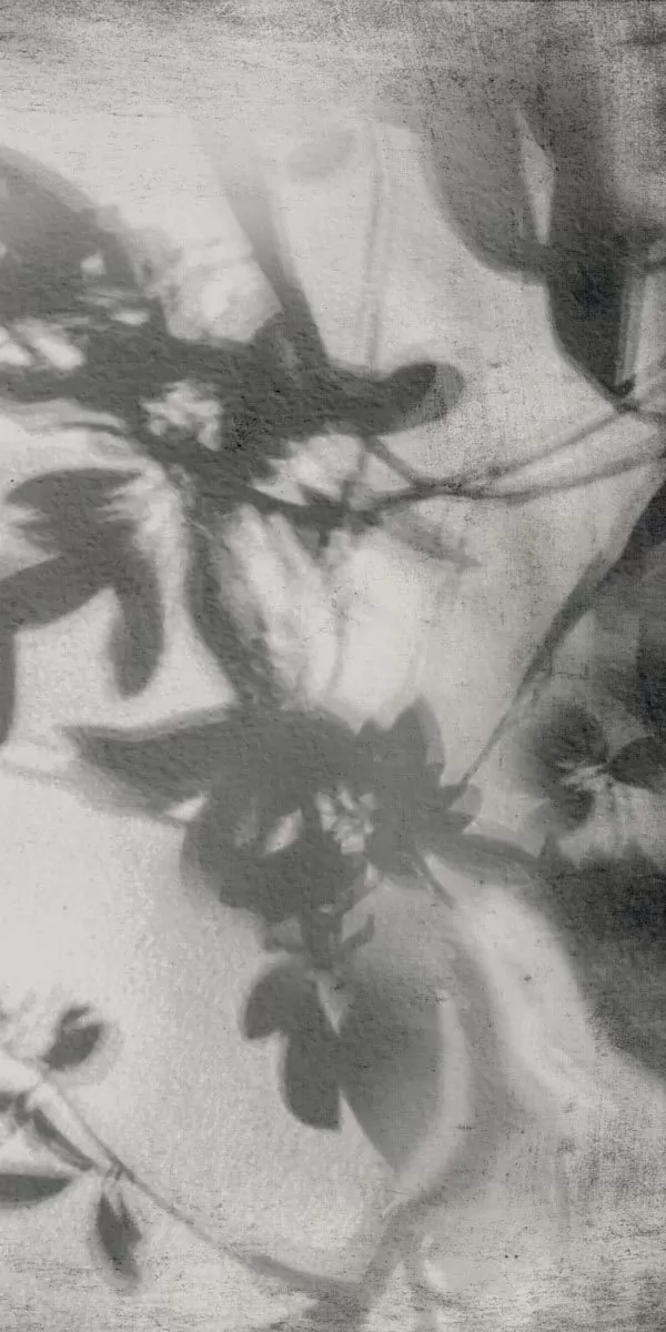 Керамогранит PF60012582 Art Walls Shadow Nat R 60x120