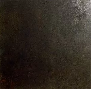 Керамогранит EVOLUTION BRONCE 49.1x49.1
