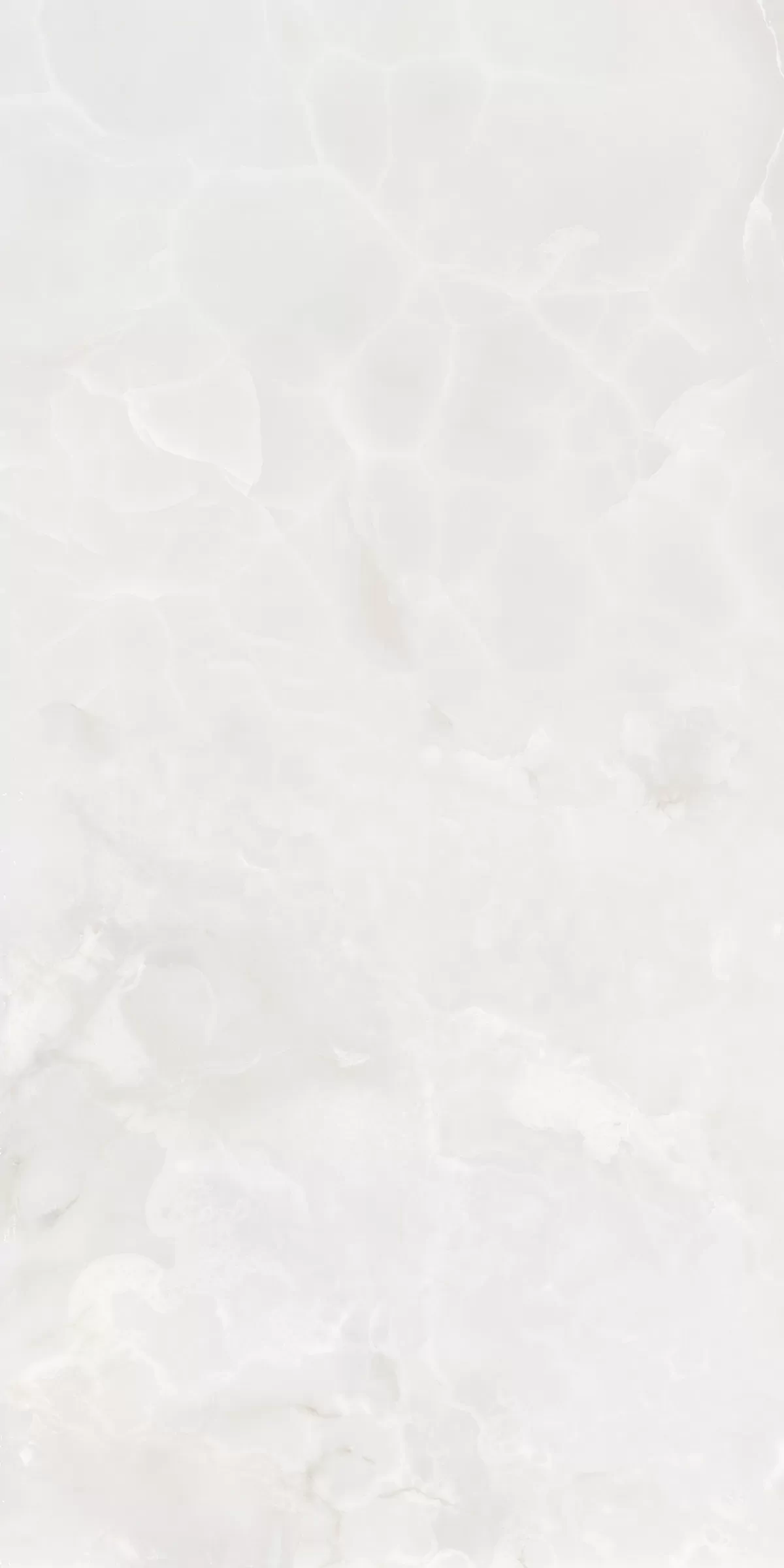 Керамогранит 879 Onyx White 120x60